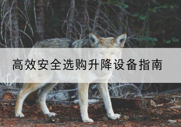 桑珠孜升降货梯厂家推荐-*安全选购升降设备指南