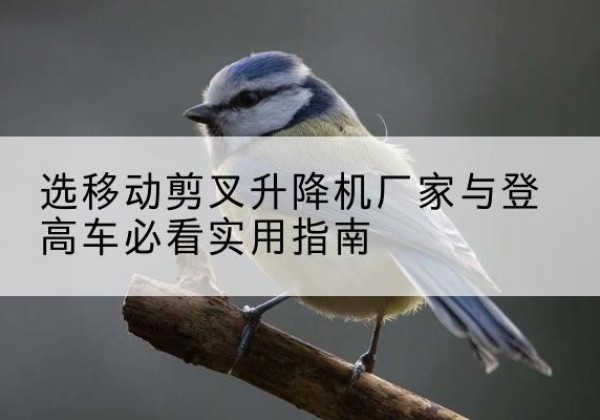 桑珠孜电动升降机厂家-选移动剪叉升降机厂家与登高车必看实用指南