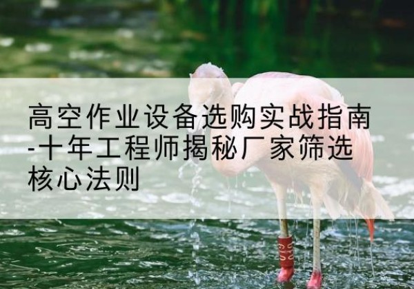 桑珠孜剪叉式升降机厂家-高空作业设备选购实战指南-十年工程师揭秘厂家筛选核心法则